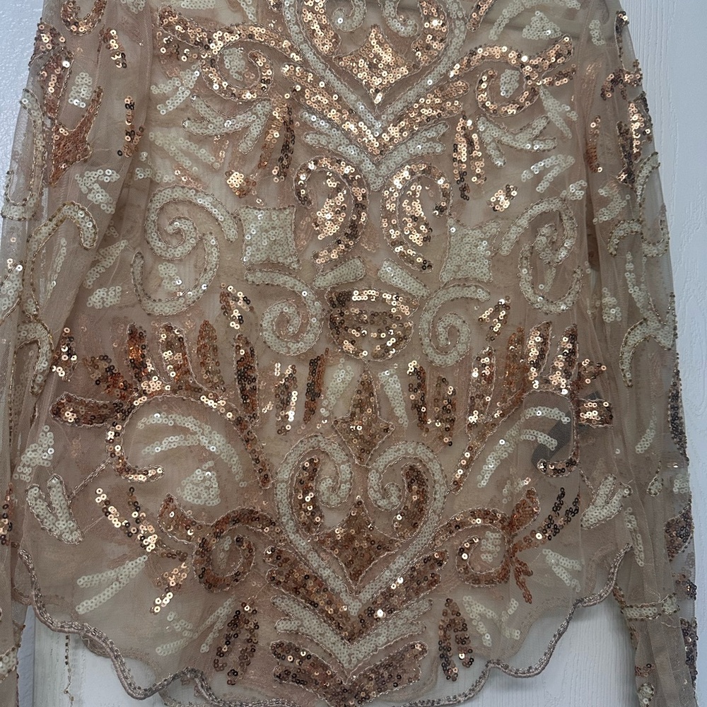 Sequin Embellished Top in Beige and Gold